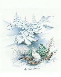 Schneehase am Galferbühel
